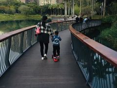 -四海公园(南山区)