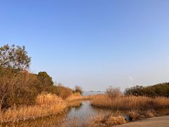 -上海吴淞炮台湾国家湿地公园