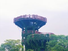 -芒洲湿地公园