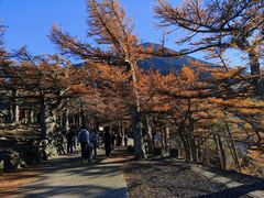 -富士山吉田線五合目