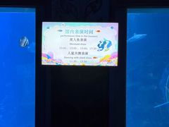 -太平洋海底世界