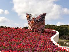 -上海鲜花港