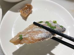 清蒸带鱼-华盛丰温州大排档(东三环南路店)