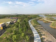 -春花秋色城市公园