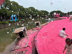 -苏州太湖西山岛开心农场