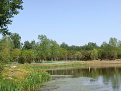 -东郊湿地公园