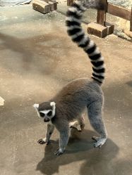 -Zoolung Zoolung动物主题公园(海信广场店)