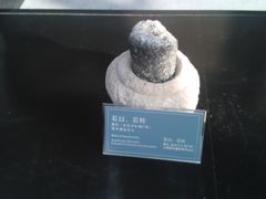 WP_003316-西安大唐西市博物馆