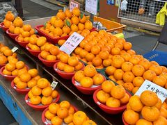 -西归浦每天偶来市场