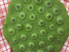 -洪湖生态旅游区