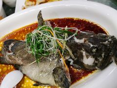 -海晖酒楼·顺德鱼生(荣华店)