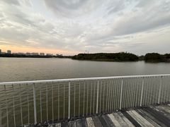 -海珠湖公园