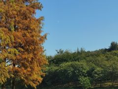 -广东花都湖国家湿地公园
