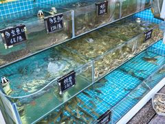 -北戴河庆山饭店·海鲜砂锅粥(北戴河黑石路店)