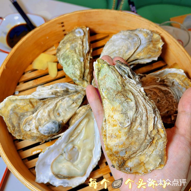 揭阳阳美【大蚝钳途】