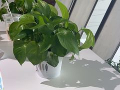 -贝林大翅鲸简餐厅(国家海洋博物馆店)