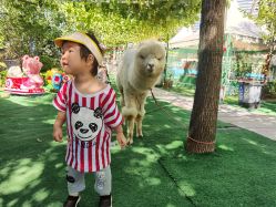 -萌宠亲子动物乐园(槐房万达店)