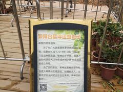 -光明小镇欢乐田园