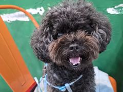 -堂瓦里·33年传统赣菜(第一街区店)