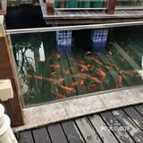 胜记沙河民商店