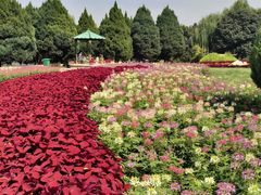 -石家庄市植物园