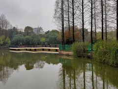 -黄兴公园