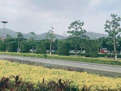 -中国闽台缘博物馆