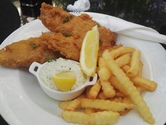 -Fern Forest Cafe