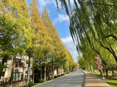 -太阳岛度假酒店