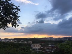 -羊山湖公园