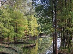 -畔山酒店中餐厅