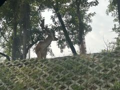 -秦皇岛野生动物园