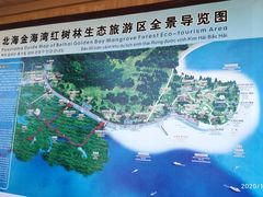 -北海金海湾红树林生态旅游区