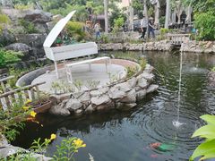 -花溪雨·森林餐厅(石基店)