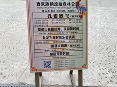 -西双版纳原始森林公园