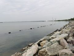 -南汇嘴观海公园