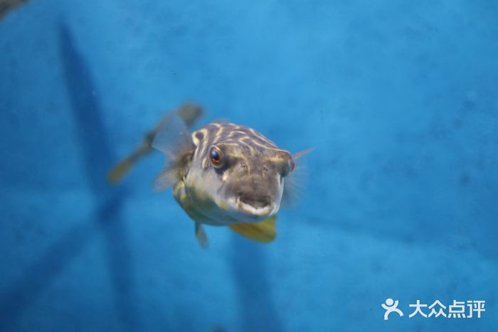 国家自然博物馆图片