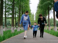 -圩墩遗址公园
