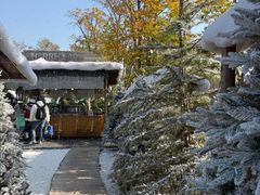 -HERRE·FARM 赫尔露营农场·团建聚会包场