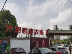 -洪湖家庭农场·团建·露营·会议