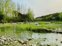 -SMP滑板公园