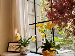 -COTTON CAFE(德信·中外公寓店)