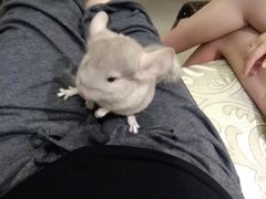 -常乐·对症推拿(来福士第43分店)