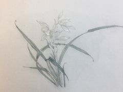 作品-谷隆画舍·国画书法素描彩铅水彩