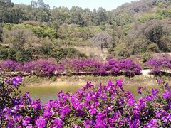 -南国桃园旅游度假区