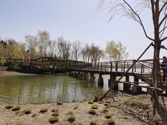 -东郊湿地公园