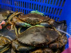 -旅南活海鲜-屏东(墾丁海鮮，海鮮餐廳，墾丁團體合菜，平價熱炒，墾丁熱炒店，活海鮮推薦，在地海鮮餐廳)