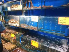 -蚝专家(北滘店)