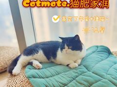 -Catmate·猫肥家润(金润铂宫店)