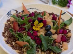 -唐猫庭院·千年陕菜(大唐不夜城店)